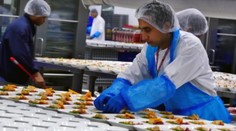 Doprajete si jedlo v lietadle? Pozrite sa, čím všetkým si musí prejsť