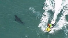 Žralok zabíjal v Austrálii: Kamaráti surfistu bojovali o jeho život