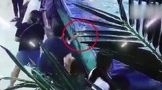 VIDEO: Žralok v nákupnom centre takmer odhryzol dievčatku prsty