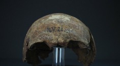 Nový objav vedcov prekvapil: Našli prvú známu obeť moru