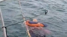 Záhadné zmiznutie: Žena bola nezvestná dva roky, našli ju polomŕtvu na otvorenom mori