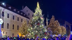 V hlavnom meste zavládla vianočná atmosféra: Bratislava slávnostne rozsvietila stromček