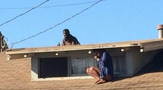 Známej herečke sa vlámal do domu, musela sa ukryť na streche