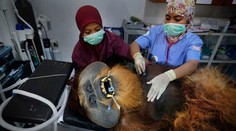 Súhrn toho najdôležitejšieho z celého dňa v jednom článku