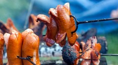 Kliešť mu spustil smrteľnú alergiu. Tínedžer zomrel po obyčajnej večeri