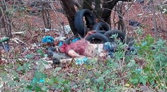 Objasnili brutálnu vraždu muža. V hre vraj bol milostný trojuholník