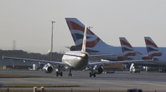 Chaos na letisku. Do lietadla sa dostal tvor, ktorého nevedali dať von