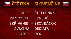 Naši moderátori zabodovali v češtine. Ako na tom boli českí kolegovia so slovenčinou?