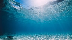 Oceány čelia trojitej hrozbe. Následky môžu ovplyvniť nielen podmorský svet