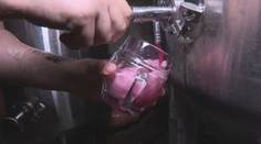Nealko valcuje klasické pivo. Slovensko patrí v Európe medzi špičku