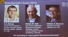 Nobelovku za chémiu dostala trojica, ktorá nám umožnila nahliadnuť do nanosveta