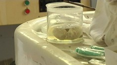 Dom hrôzy v Piešťanoch. Našli v ňom strašné veci