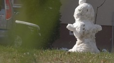 Sever Slovenska sa zobudil do zasneženého rána. Na juhu robí vrásky ovocinárom iný problém