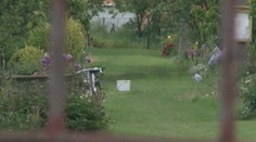 Záhradkári pri Trenčíne sú zúfalí. Kradnú im všetko, čo je železné