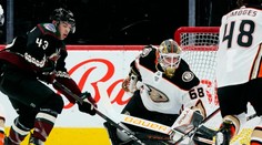 Slovenský brankár Durný začne sezónu na listine zranených hráčov