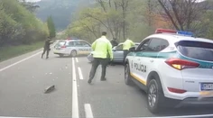 Poliak (20) po nehode na Orave ušiel, padali aj výstrely. Arogantnú jazdu zachytila kamera