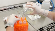 Prelomový objav, univerzálna vakcína proti chrípke je na dosah, tvrdia lekári