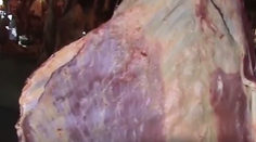 Kusisko hovädzieho mäsa vystrašilo turistov. Pozrite sa, prečo