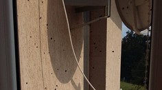 Slovensko trápi invázia lienok. Je sa čoho báť?