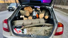 Polícia bola prekvapená, čo v aute našla. Pri obiehaní stratil vodič balans a narazil do dodávky