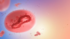 Pribudli dva prípady opičích kiahní, osoby sa mohli nakaziť aj na Slovensku