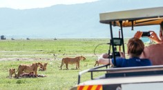 Prežil medzi šelmami: Malý chlapec strávil päť dní v africkom parku plnom levov