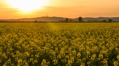 Z chladných dní rovno do tropických. Počasie však nebude bez výkyvov