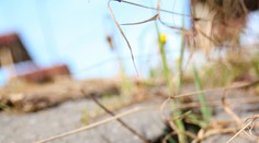 Portoriko zasiahlo silné zemetrasenie