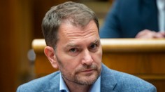 Prieskum: Mali by voliči záujem o spoločnú kandidátku OĽaNO a SMK?