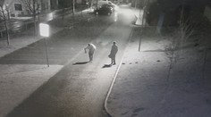 Rodinu, ktorá pomáha ľuďom v núdzi, zlodeji pripravili o takmer celú farmu. Zachytila ich pri tom kamera