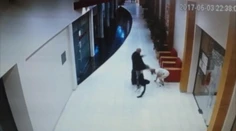 Video: Chyžná chcela pomôcť švédskemu turistovi, ten ju brutálne kopol do hlavy