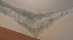 V Badene museli evakuovať JIS Krajinskej kliniky pre prítomnosť plesní