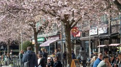 Koronavírus vo svete: Vo Švédsku zomrelo 887 ľudí, premiér nechce priznať zlyhanie stratégie