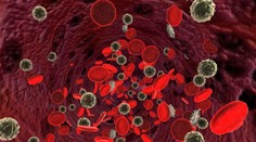 Vedci už vedia predpovedať smrť