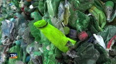 Najčastejšie chyby pri recyklovaní: Kam s obalmi z dezodorantov, zubných pást či liekov?