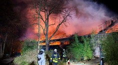 Pri požiari v nemeckej zoo zomrelo cez 30 zvierat. Údajne ho spôsobil ohňostroj