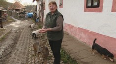 Vodička autobusu po odchode na dôchodok začala žiť na gazdovstve