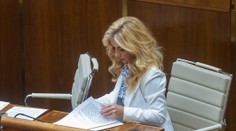 Šimkovičová si počas svojho odvolávania krátila čas komentovaním na internete. Poslanci sa zatiaľ hodiny obviňovali