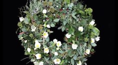 Najdrahší vianočný veniec na svete: Tú cenu musíte vidieť!