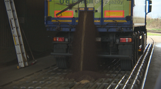 „Žlté zlo“ má zachrániť našu sebestačnosť. Repka olejná už nebude končiť v motoroch áut