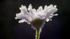 Leto sa s nami pekne nerozlúči: Výstraha ako dôkaz