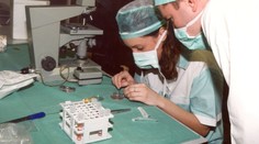 Ich syn zomrel, no jeho spermie ostali zmrazené. Rodičia si z nich chcú splodiť vnúča