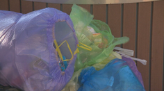 Za smetné si Slováci v tomto roku priplatia. Nová výška poplatku šokovala najmä v Šali