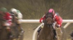 Felix Francis a jeho Favorit