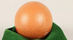 Rarita za poriadny balík. V Británii vydražili takmer dokonale okrúhle vajce