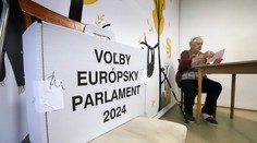 Politológ o eurovoľbách: Prítomnosť krajnej pravice je dôležitejšia ako víťazstvo proeurópskej strany