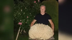 Išiel na ryby, vrátil sa s gigantickou vzácnou hubou. Josef prekonal národný rekord