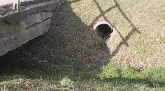 Do roku 2015 mali byť všetky mestá a väčšie obce odkanalizované. Realita?