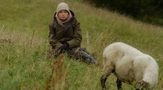 Farmári prišli o dve ovce: Jane s Petrou sa obrátil žalúdok!