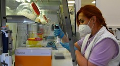 Slovensko sa rozbehlo v sekvenovaní pozitívnych vzoriek. Predbehli sme aj okolité štáty